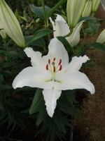 [5359 Queensland DJ No01.JPG]